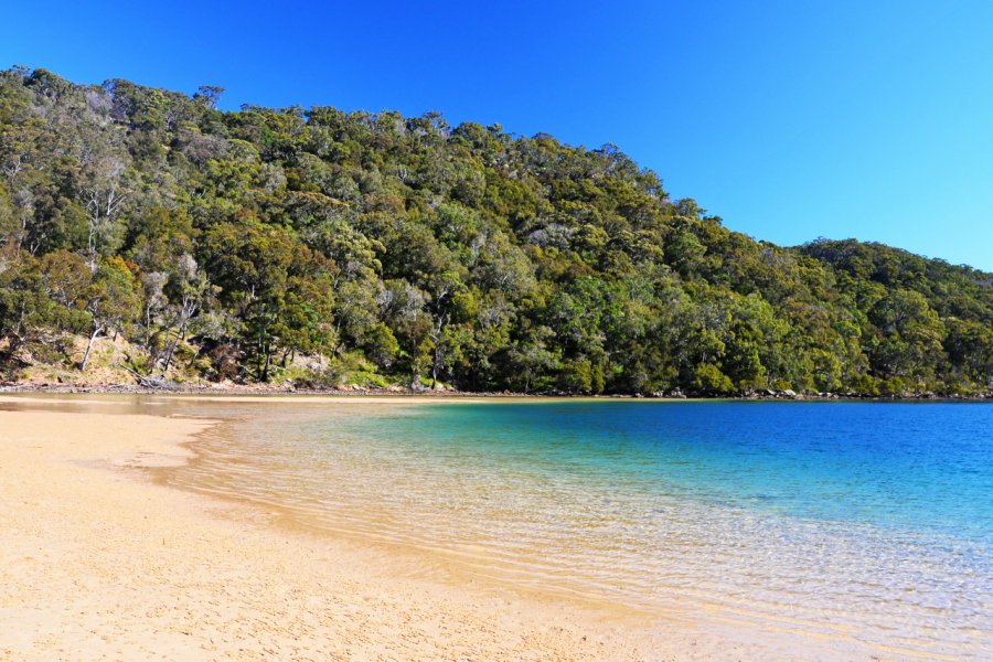 Ku Ring Gai Chase National Park Guide De Voyage Touristique Ku