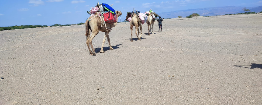 Du lac Abbé au lac Assal, à proximité de YOBOKI - Photo Africorne Travel