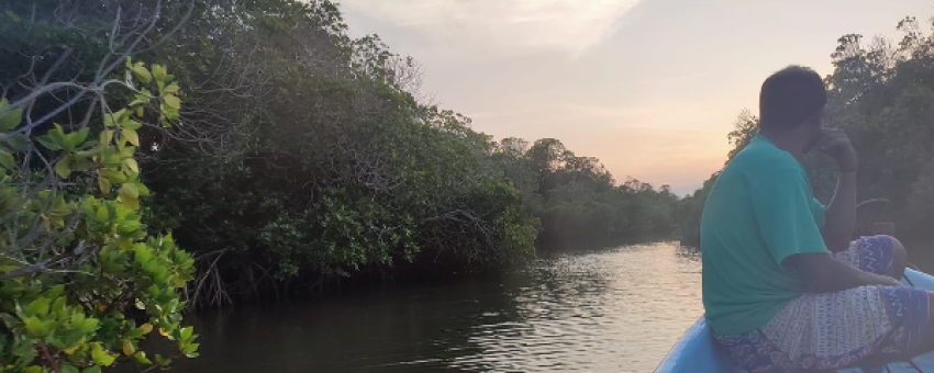 Mangrove de Godoria - Photo Africorne Travel