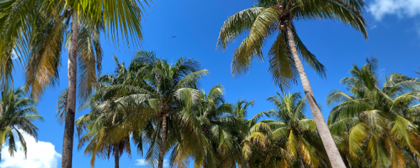 Isla Mujeres - Mexique Découverte