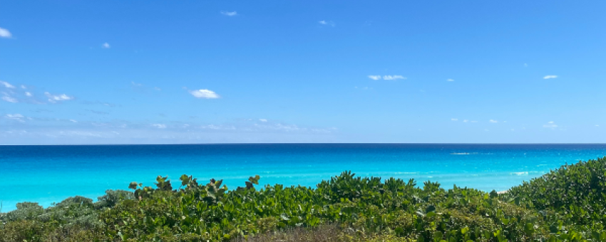 Cancun - Mexique Découverte