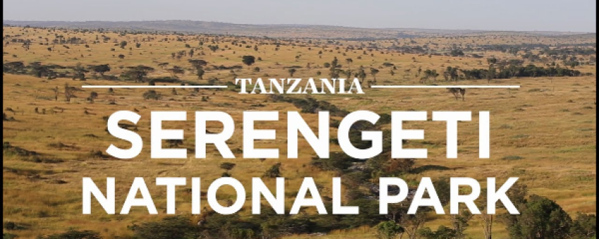 serengeti national park - Google