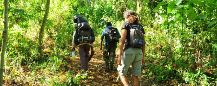 Hiking Mt. Elgon, Uganda - Pamoja Safaris