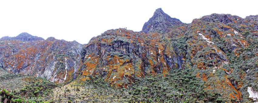 Mt. Rwenzori Range - UWA