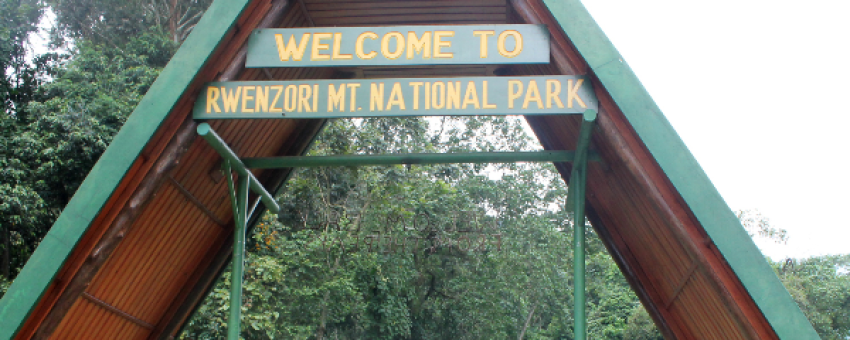 Rwenzori mountain NP - UWA