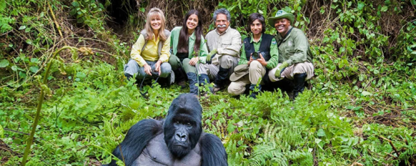 Gorilla trekking experience - RDB