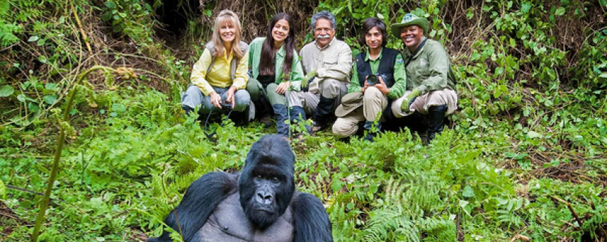 Gorilla trekking experience - RDB