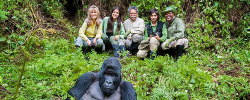 Gorilla trekking experience - RDB