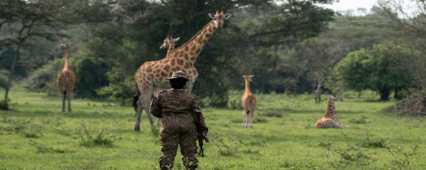 Walking safari in Lake Mburo National Park - Pamoja Safaris