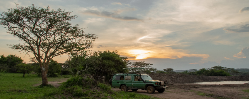 Game drives in Lake Mburo National Park - Pamoja Safaris