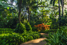 Hotel Capitán Suizo' s Garden - Hotel Capitán Suizo