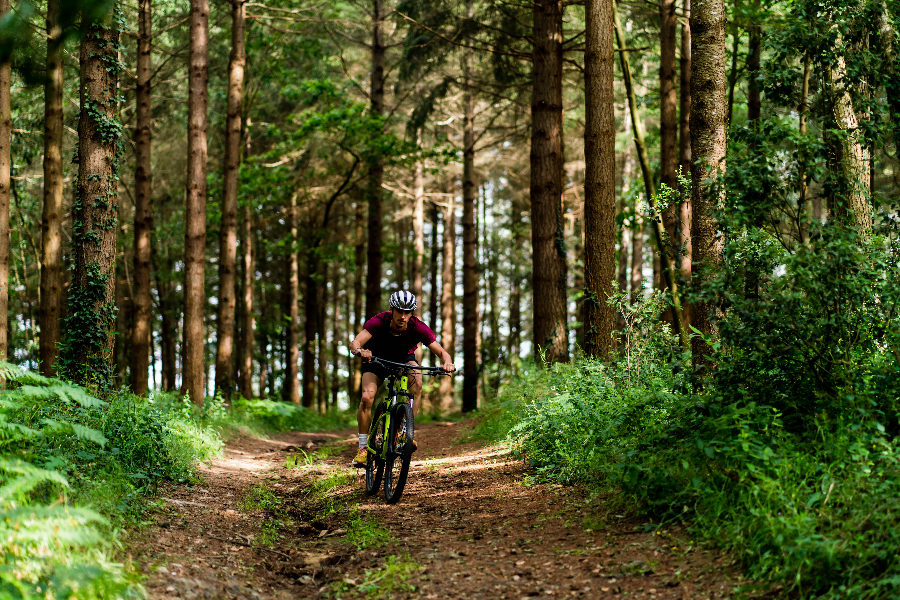 Vélo sur domaine - ClemoCreative