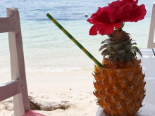 Cocktail de fru - ©.