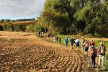 Sentier de rand - ©B.Lecourt / Rando Paulhacoise 31