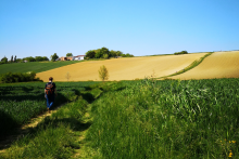 Sentier de rand - ©Tourisme Coteaux du Girou