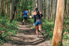traileurs à Bag - ©adobestock