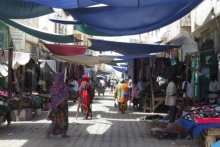 https://africa-horn-travel.com/circuits/djibouti-et-lethiopie-en-11-jours/ - https://africa-horn-travel.com/circuits/djibouti-et-lethiopie-en-11-jours/