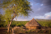 https://africa-horn-travel.com/circuits/lacs-du-grand-rift-africain-et-tribus-de-la-vallee-de-lomo/ - https://africa-horn-travel.com/circuits/lacs-du-grand-rift-africain-et-tribus-de-la-vallee-de-lomo/