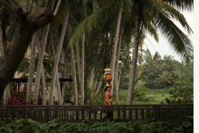 Making Offerings - Making Offerings