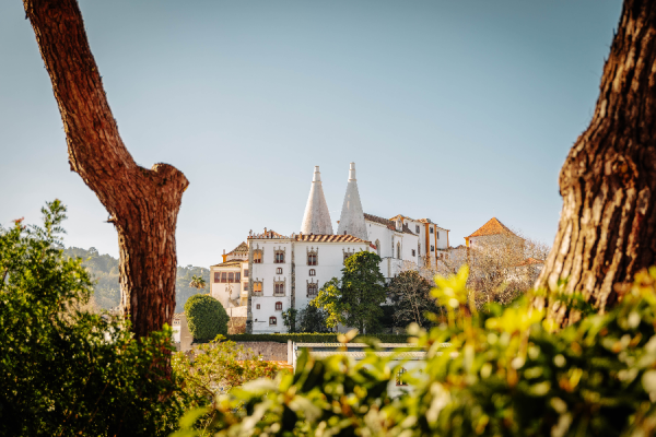 Palacio Nacional de Sintra - PSML-BY