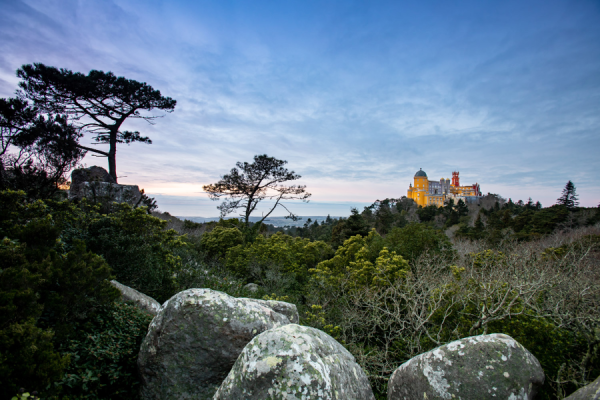 Parque e Palacio da Pena - PSML - Luis Duarte