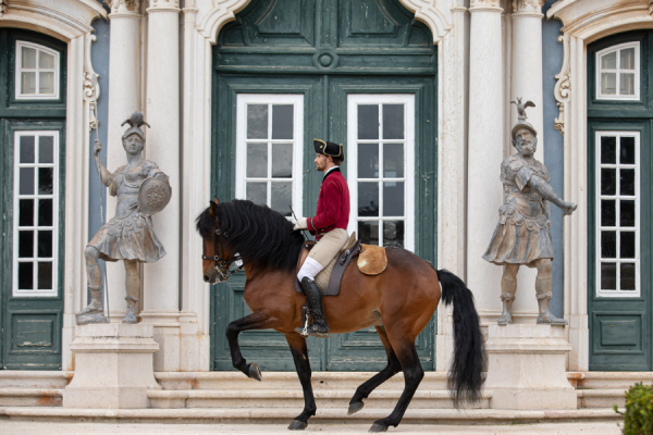 Escola Portuguesa de Arte Equestre - PSML-ABRFotografia