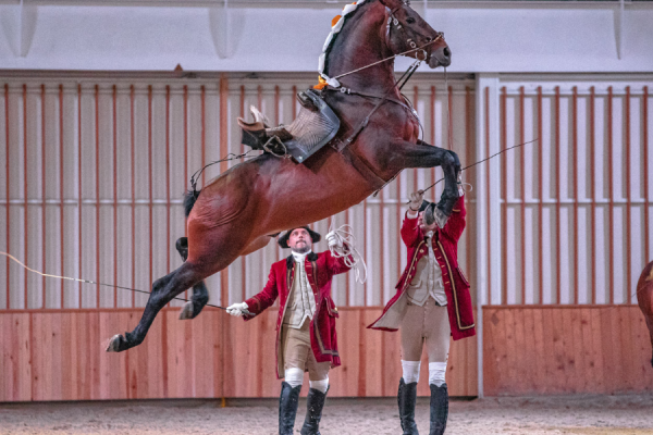 Escola Portuguesa de Arte Equestre - PSML-ABRFotografia