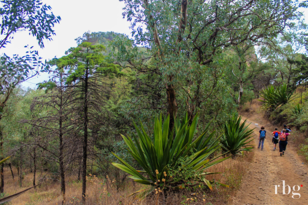 Dans le Parc Naturel - Rural Tours