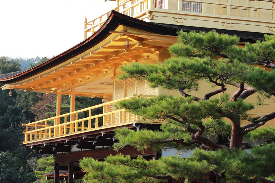 Kinkaku-ji - Mimaru