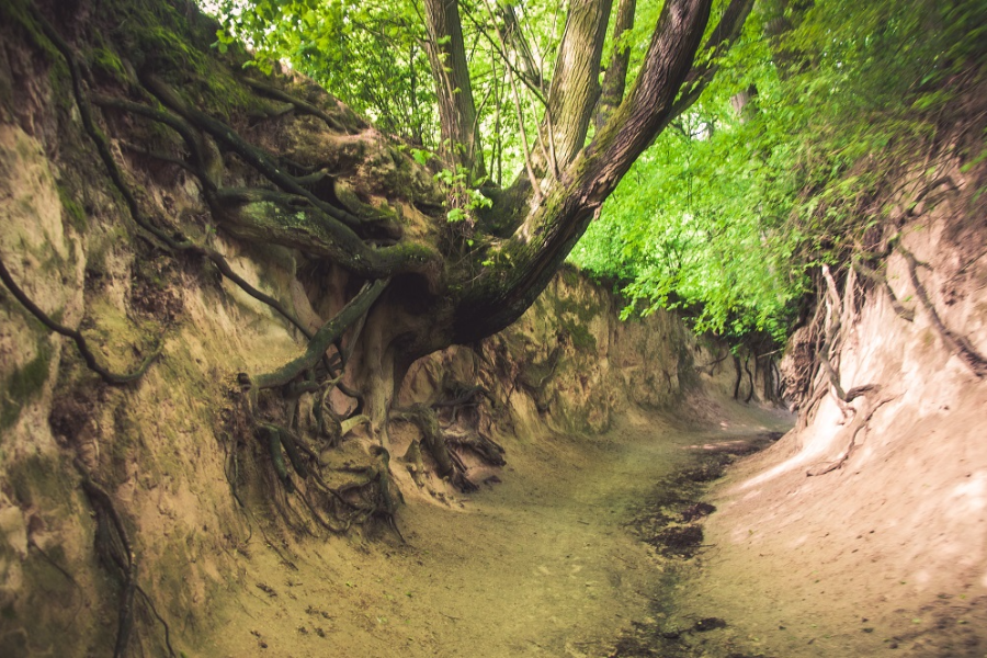 The Land of Loess Ravines - Lublin Regional Tourist Organisation