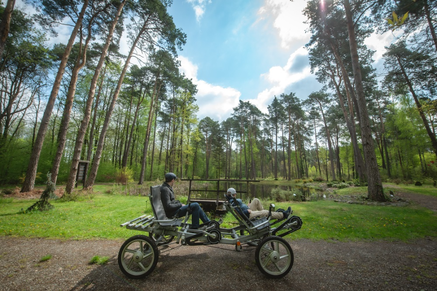 The Janowskie Forests - Lublin Regional Tourist Organisation