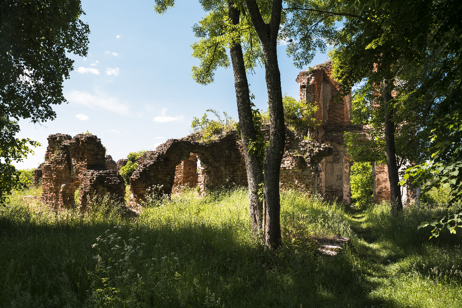 Zawieprzyce, Spiczyn commune - https://lublininfo.com/en/discover-lublin/castle-ruins-in-zawieprzyce/