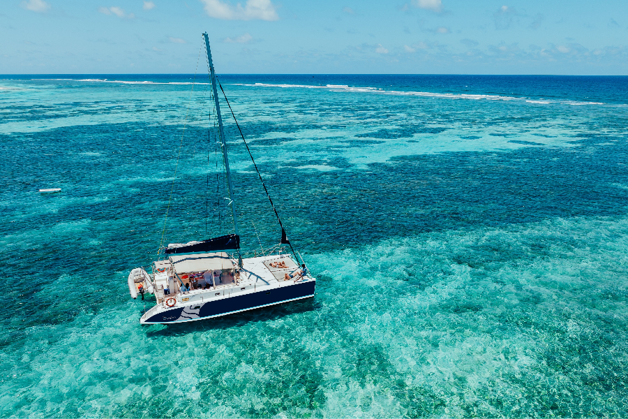 Blue Safari Catamaran Wahoo au large de l'ilot Gabriel - BLUE SAFARI