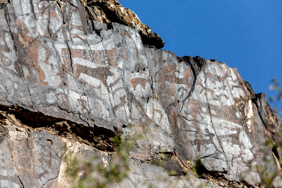 Petroglyphs carved in rocks and stones. Uzbekistan, Sarmishsay - 2289456531