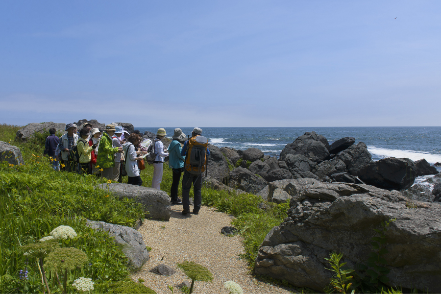 Michinoku Coastal Trail (parcours d'Aomori) - Aomori Prefectural Tourism Federation