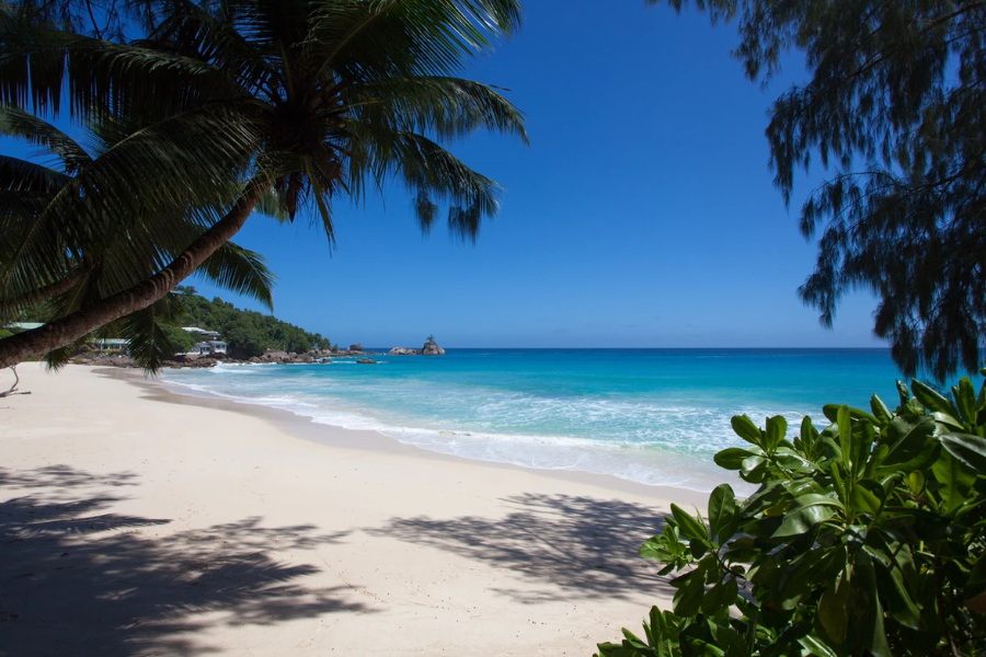 ANSE SOLEIL BEACHCOMBER - ANSE SOLEIL BEACHCOMBER