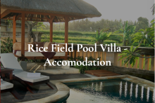 Rice Field Pool Villa - Rice Field Pool Villa