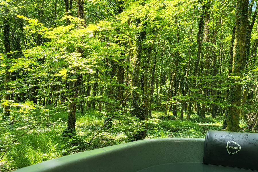 Bain nordique privatif avec vue sur la forêt - DIB