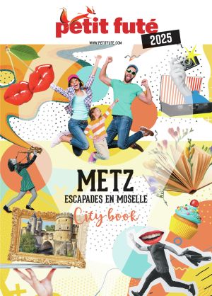 Guide METZ