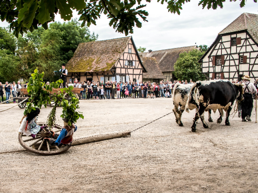 Cortège du Feuillu de Pentecôte - EMA