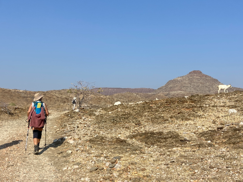 Kaokoveld Camino - Wild Cherry Adventures