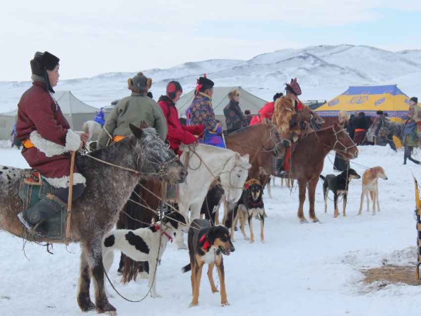 Festival des chevaux - DLD Mongolie