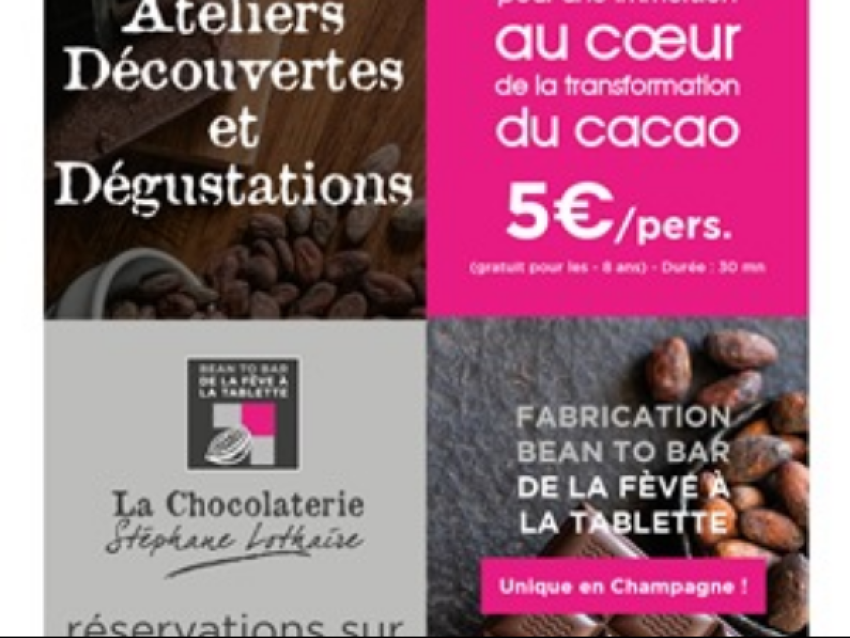 Atelier Découverte du cacao - lothaire