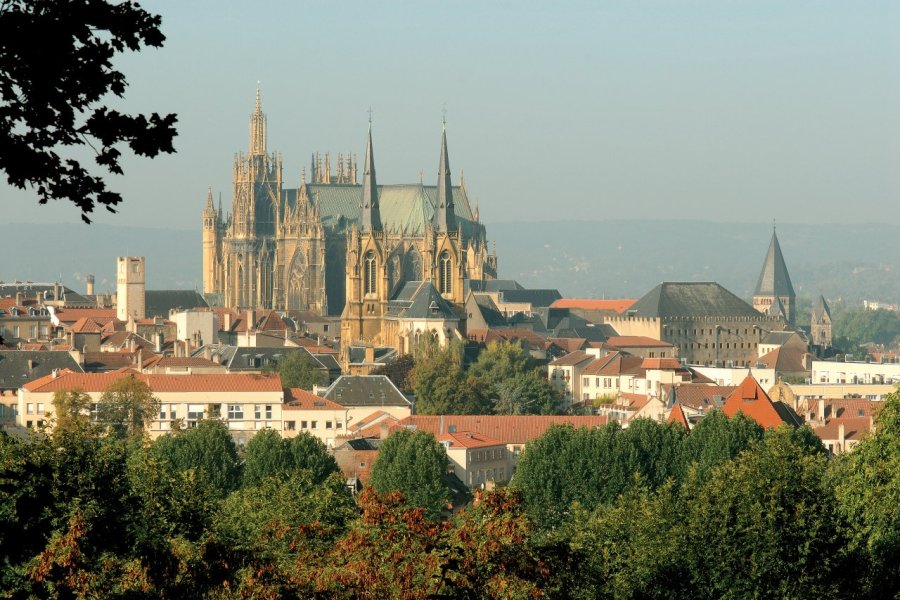 Metz, capitale de la mirabelle