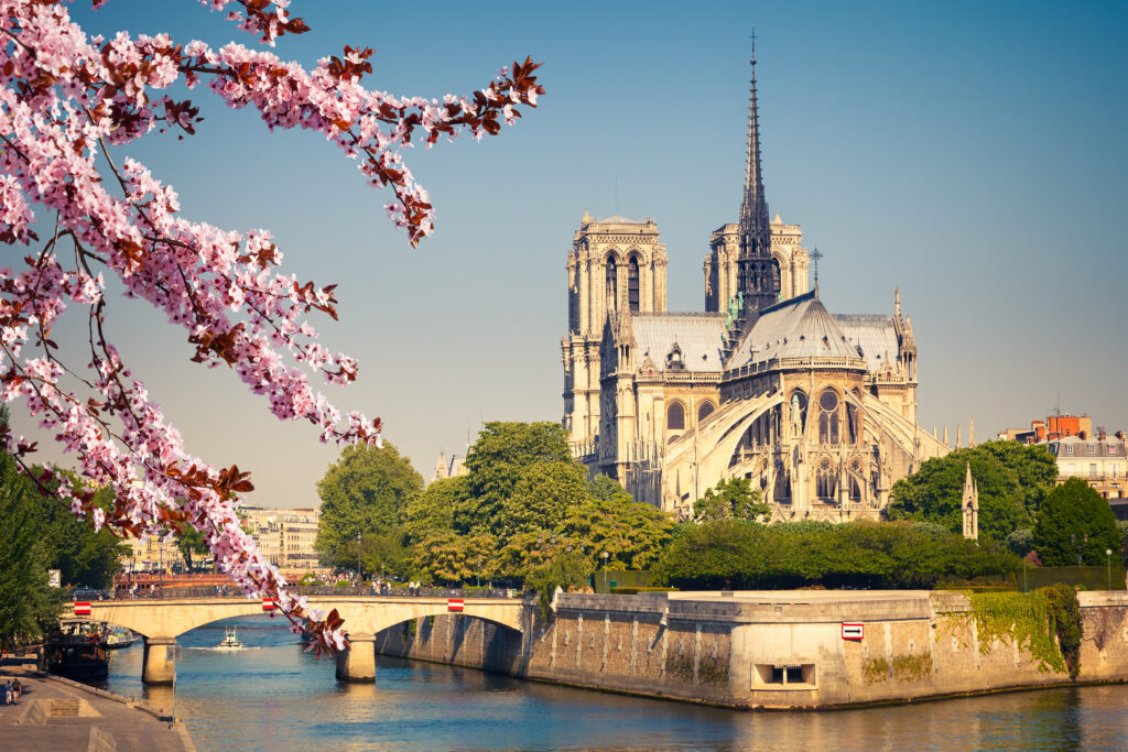 Notre Dame de Paris 