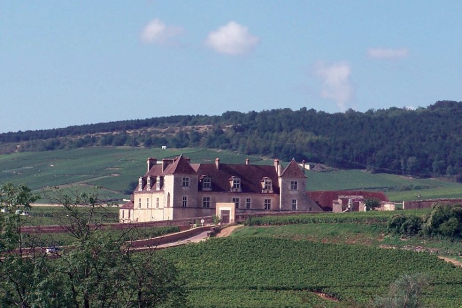 Week-end littéraire au coeur des vignes de Bourgogne.