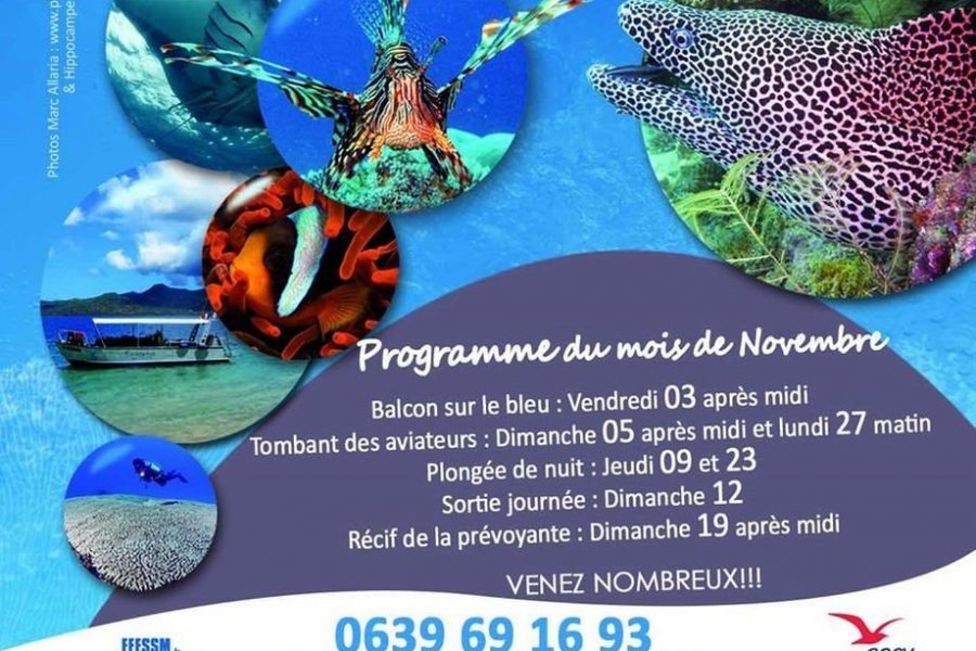 Mayotte : découvrez les trésors du lagon au mois de novembre