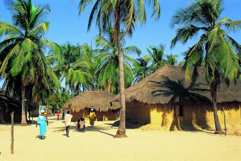 Les incontournables du Sénégal : Sénégal