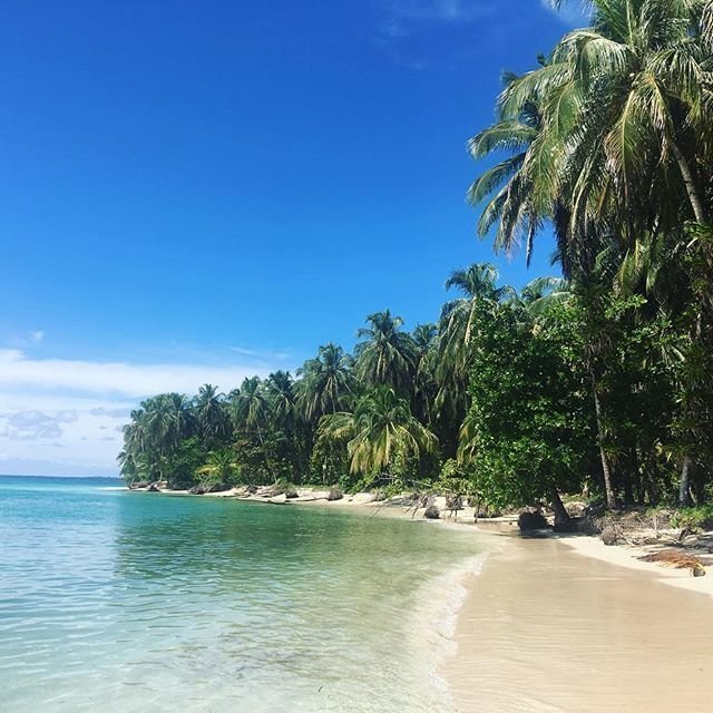 Learn Spanish In Bocas Del Toro With Habla Ya Bocas Del Toro