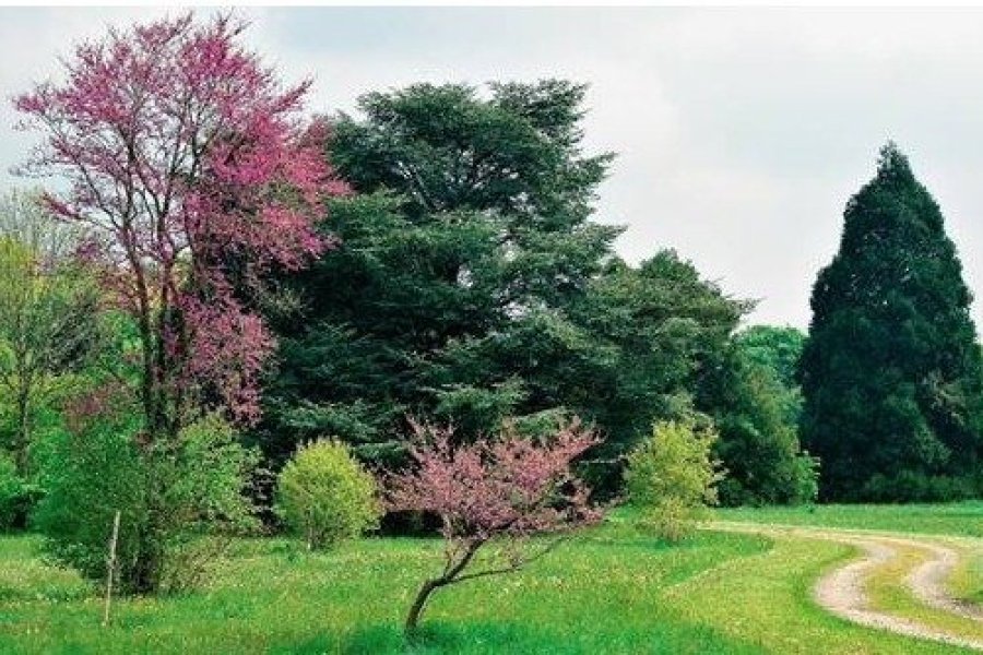 Ouverture de l'arboretum de Versailles-Chèvreloup